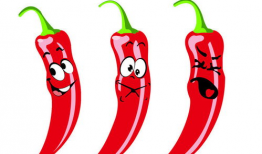 辣椒漫画,辣味人生，笑中带泪的幽默画卷